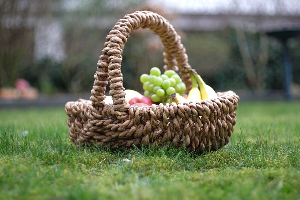 Picknick auf der Wiese